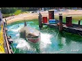 Download Lagu [4K] Jaws, King Kong, \u0026 Earthquake | Studio Tour Ride at Universal Studios Hollywood 2021