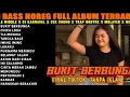 Download Lagu Dj Bukit Berbunga Bass Horeg Style Party Full Album Terbaru Viral Karnaval 2025 Kocak 99