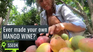 Our secret to surviving isolation surrounded by uninhabited islands