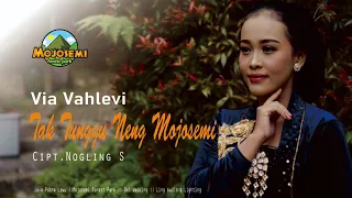 Download Via Vahlevi - Tak Tunggu Neng Mojosemi [ Official Music Video ] MP3