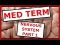 Medical Terminology Crash Course Nervous System Part 1