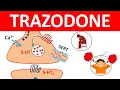 Trazodone tablets and Important Side effects
