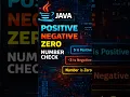 Java Program to Check Positive Negative or Zero Super Easy Logic