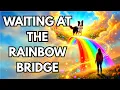 Waiting at the Rainbow Bridge - The Most Heartbreaking Pet Goodbye Song Tribute to Dogs in
