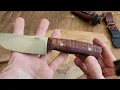 DP4 in Snakewood