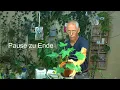 Download Lagu Zimmerpflanzen im Juli. Ohne Strom kein Licht
