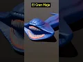 Download Lagu Who is biggest? Bloop vs El Gran Maja #monster #fish #sizecomparison
