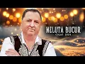 Download Lagu Neluta Bucur | Muzica de Petrecere si Pahar 2024 | Hore de Ascultare, Sarbe