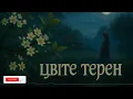Цвіте терен (Folktronica) | Ukrainian Ethno-Folk