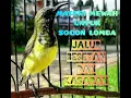 Download Lagu MASTERAN SOGON LOMBA JALUR BESETAN DAN KASARAN
