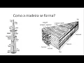 Channel