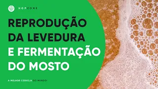 A REPRODUÇÃO DA LEVEDURA E FERMENTAÇÃO DO MOSTO | EDSON PERRONE