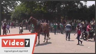 بالفيديو الدندورما و الترمس والعصائر المثلجة مظاهر الاحتفال بالعيد فى حديقة الفسطاط 