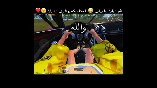 شر البلية ما يبلى قحط مكمبر فوق السيارة 