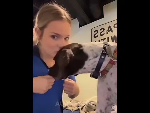 How My Dog Reacts to Kisses vs Others 😂 #dog #shorts #funnydogs