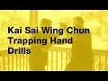 Wing Chun Trapping Hands