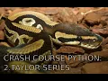 python crash course 2 Taylor series