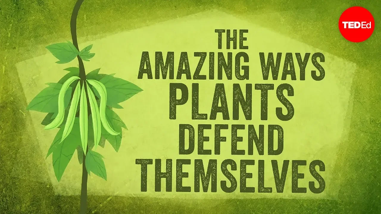The amazing ways plants defend themselves - Valentin Hammoudi