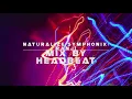Download Lagu Naturalize/Symphonix/Ranji - mix by HEADBEAT