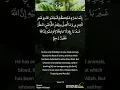 Download Lagu Al-Baqarah - Verse 173 to 174 - Quran Recitation for Mobile #shorts #Quran #Islam