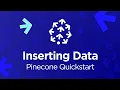 Pinecone - Inserting Data