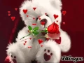 Download Lagu BIAŁY MIŚ