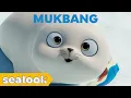 Download Lagu Oddly Satisfying Seal MukbangㅣSEALOOKㅣEpisodes Compilation
