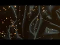 MR TOUT LE MONDE - Intro (SUN)