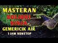 Download Lagu Masteran Suara Burung Kolibri Ninja KONIN Gacor Dengan Gemericik Air