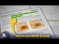 Download Lagu Why is Arctic Sea Ice Melt SLOWING DOWN??