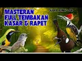 Download Lagu CUMA 4 SUARA BURUNG || INI DIA RAHASIA MASTERAN BURUNG JUARA, MATERAN BURUNG YANG LAGI VIRAL