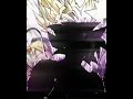 Download Lagu GOD KILLER MANGA EDIT🔥 #anime #dragonball #dragonballz #vegito #shorts #tranding #manga #mangaedit
