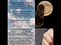 Download Lagu Syair burung Pungguk Antologi Puisi Tanah Airku – PLKN SYAIR BURUNG PUNGGUK