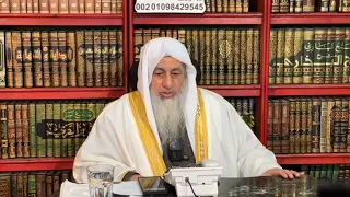 يسأل عن كتاب الفتن لنعيم ابن حماد   الشيخ مصطفى العدوي دندنها