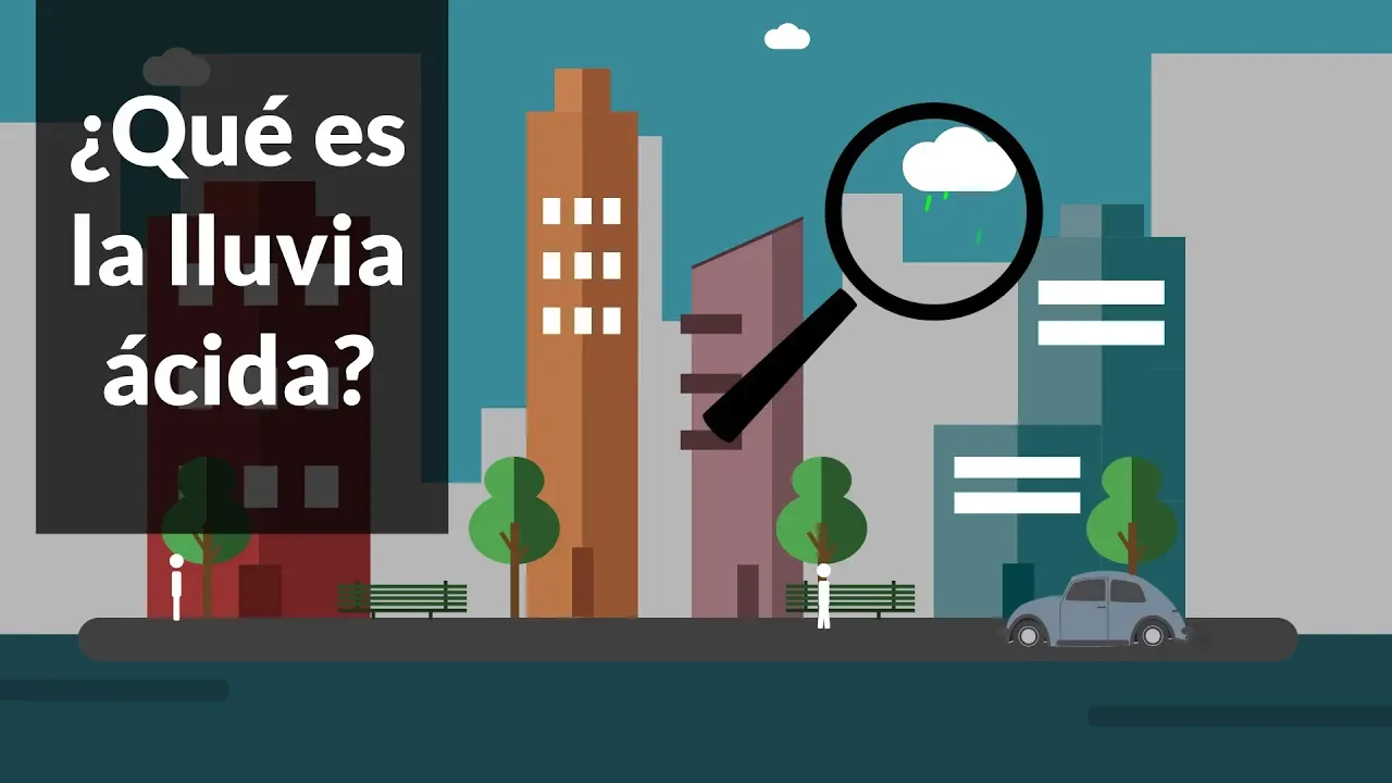 ¿Qué es la lluvia ácida y cuáles son sus efectos? | Animación | Hidden Nature