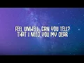 Isabel LaRosa - HAUNTED (Lyrics)