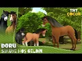 Doru Suruye Hos Geldin 31 Bolum