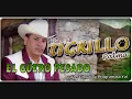 tigrillo palma el guero pesado