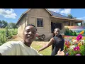 Download Lagu THE MASSIVE NEW LOOK OF THE COMPOUND AFTER LANDSCAPING 🥹||PLANTING FLOWERS FOR THE FIRST TIME