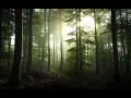 Download Lagu Relaxation Music - The Heart Of Reiki