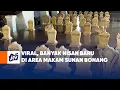 Download Lagu Viral: Many New Headstones in the Sunan Bonang Cemetery Area