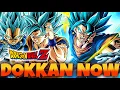 DOKKAN NOW LIVE STREAM WORLDWIDE 2023 LIVE REACTION DBZ DOKKAN BATTLE
