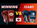 MS200 vs. Isami Pro bokshandschoenen winnen: welke is beter?