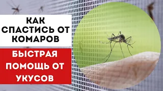 Как эффективно бороться с комарами и их укусами