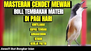 suara tembakan cendet isian kunti kapas tembak gereja petir kenari lovebird