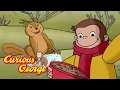 Lagu Fun In the Cold! 🐵 Curious George 🐵 Kids Cartoon 🐵 Kids Movies