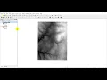 Python GIS - Reproject a Raster with GDAL Warp gdal Warp
