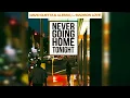 David Guetta, Alesso ft. Madison Love - Never Going Home Tonight (Extended Mix) [Progressive House]