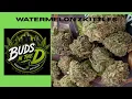 BUDSNTHED - 10 WATERMELON ZKITTLEZ 4Gz STRAIN REVIEW