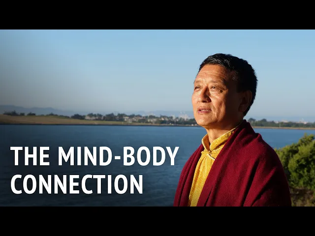 The Mind-Body Connection | Tenzin Wangyal Rinpoche